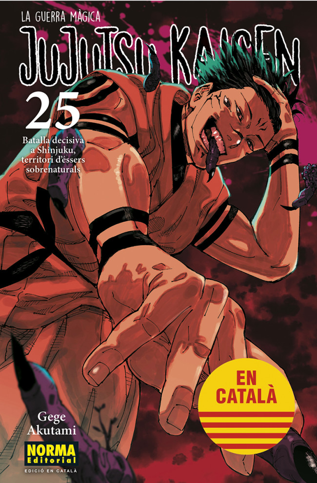 JUJUTSU KAISEN 25 (CATALÀ)